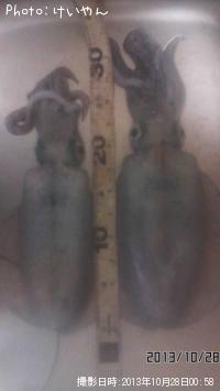 �����ꥤ��