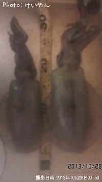 �����ꥤ��