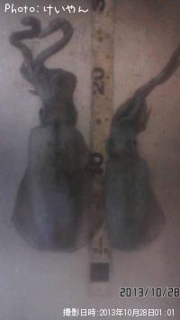 �����ꥤ��