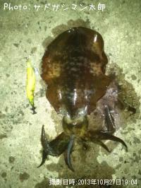 ¥¢¥ª¥ê¥¤¥«