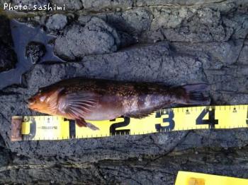 �����ʥ�