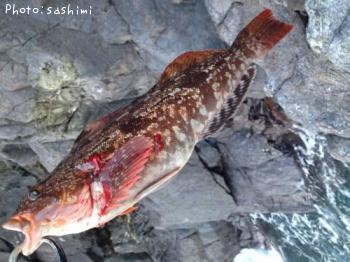 �����ʥ�