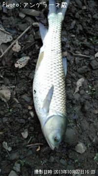 ¥Þ¥ë¥¿¡ª¡©