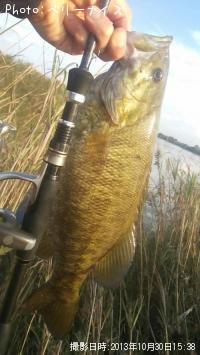 ���⡼��ޥ����Х�