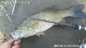 ���⡼��ޥ����Х�