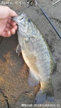 ���⡼��ޥ����Х�