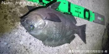 ��Х���᥸�ʡ����ץ���