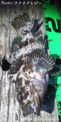 ��Х���᥸�ʡ����ץ���