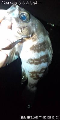 ��Х���᥸�ʡ����ץ���