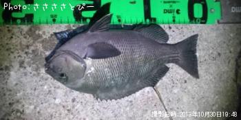 ��Х���᥸�ʡ����ץ���