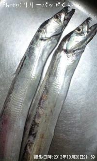 ���å�����