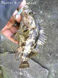 �����Υ���Х�