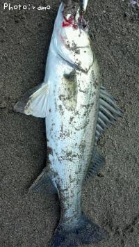 �����Х�