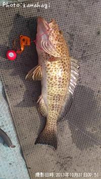 �������ϥ�