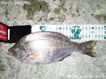 ���ߥ��ʥ�