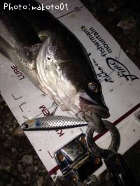 �����Х�