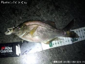 ¥¦¥ß¥¿¥Ê¥´