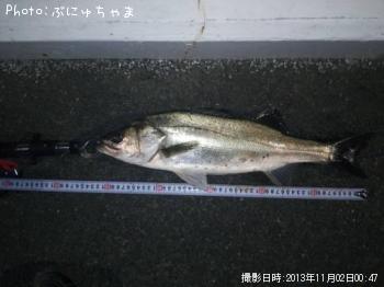 �����Х�