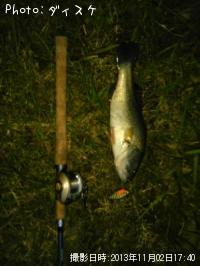 �֥�å��Х�