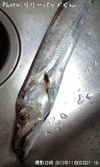 ���å�����