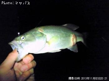 �֥�å��Х�