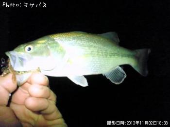 �֥�å��Х�