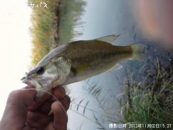 �֥�å��Х�