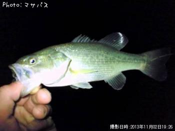 �֥�å��Х�