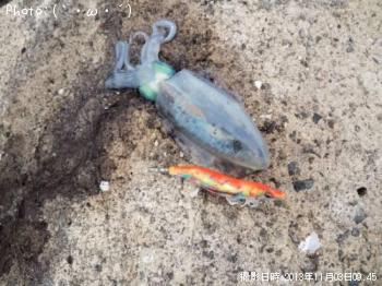 �����ꥤ��