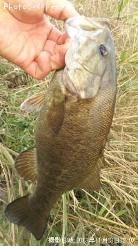 ���⡼��ޥ����Х�