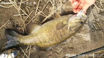 ���⡼��ޥ����Х�