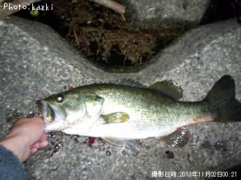 ¥Ö¥é¥Ã¥¯¥Ð¥¹