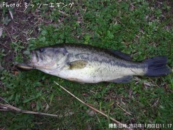 �֥�å��Х�