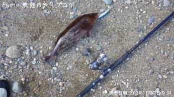 �����ʥ�