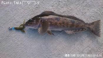 �����ʥ�