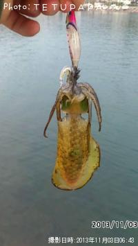 �����ꥤ��