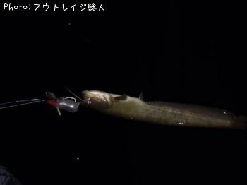 ¥Ê¥Þ¥º¡¡òÐ