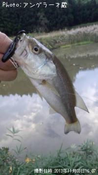 �֥�å��Х�