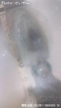 �����ꥤ��