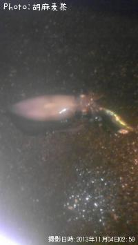 ¥¢¥ª¥ê¥¤¥«