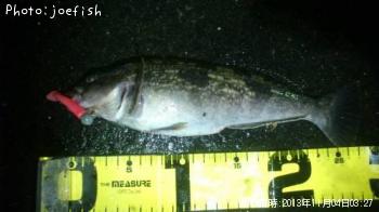 �����ʥ�