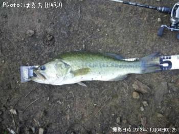 �֥�å��Х�