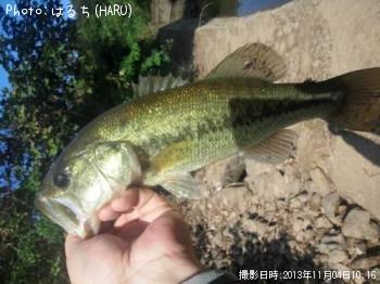 �֥�å��Х�