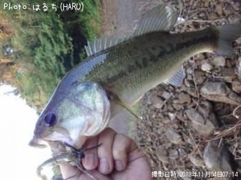 �֥�å��Х�