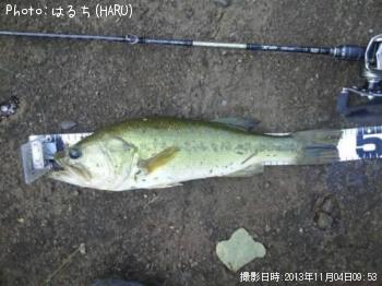 �֥�å��Х�