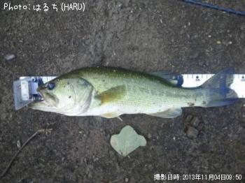 �֥�å��Х�