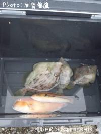 ����ϥ������ޥ������٥顩