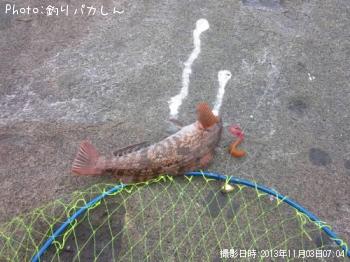 �����ʥ�