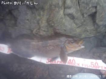 �����ʥ�