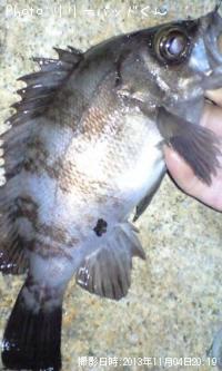 ��Х�����